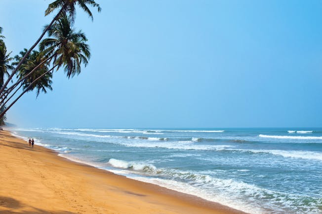 Reef Villa and Spa beach, golden sand, clear blue ocean, palm tree