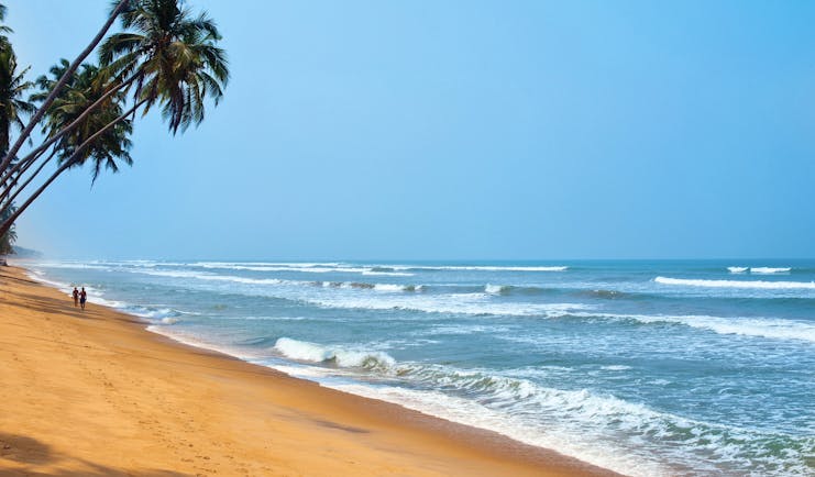 Reef Villa and Spa beach, golden sand, clear blue ocean, palm tree
