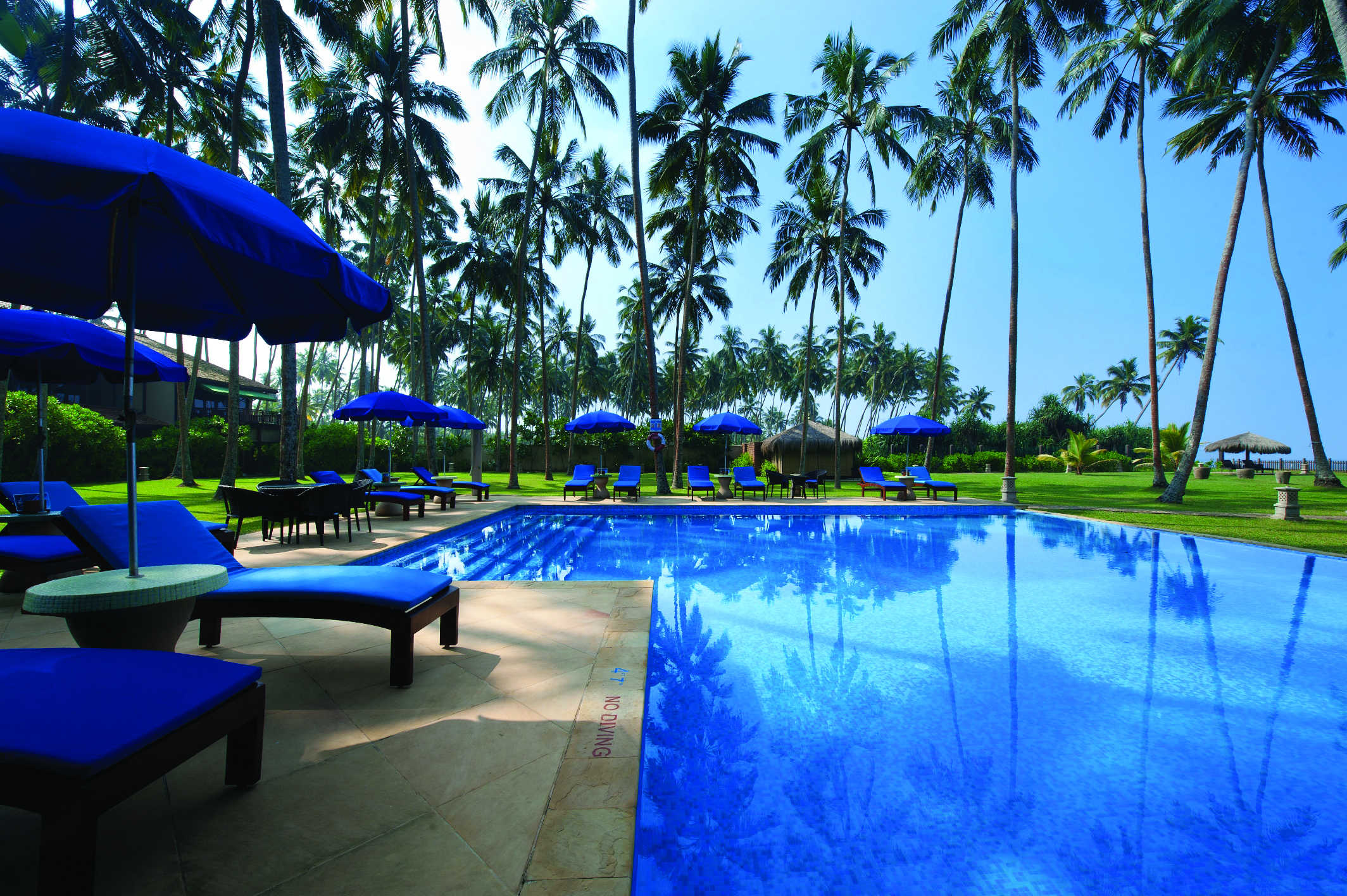 Reef Villa and Spa pool, sun loungers, gardens, umbrealls