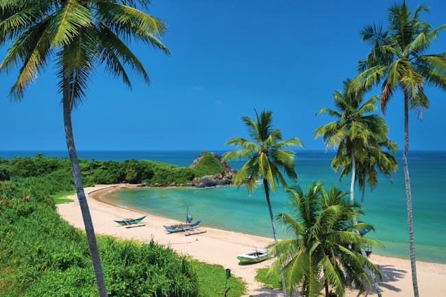 Shinagawa Beach Sri Lanka beach sand sea palm trees boats
