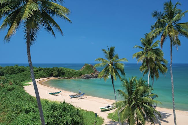 Shinagawa Beach Sri Lanka beach sand sea palm trees boats