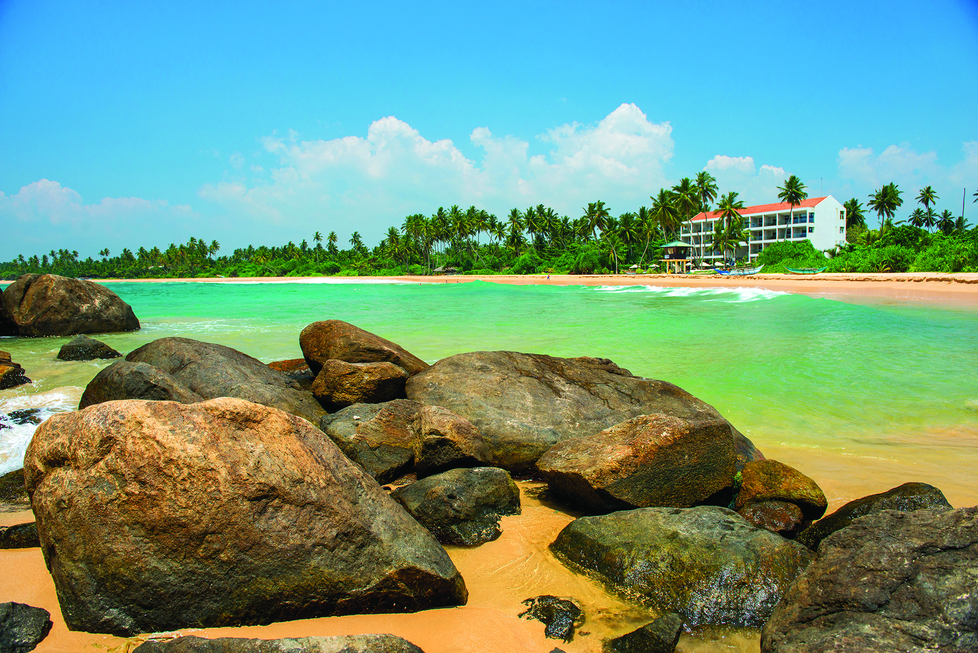 Shinagawa Beach Sri Lanka exterior beach palm trees hotel building in background