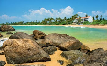 Shinagawa Beach Sri Lanka exterior beach palm trees hotel building in background