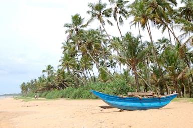 Beach in Bentota, blue wooden fishing boat on sand, palm trees