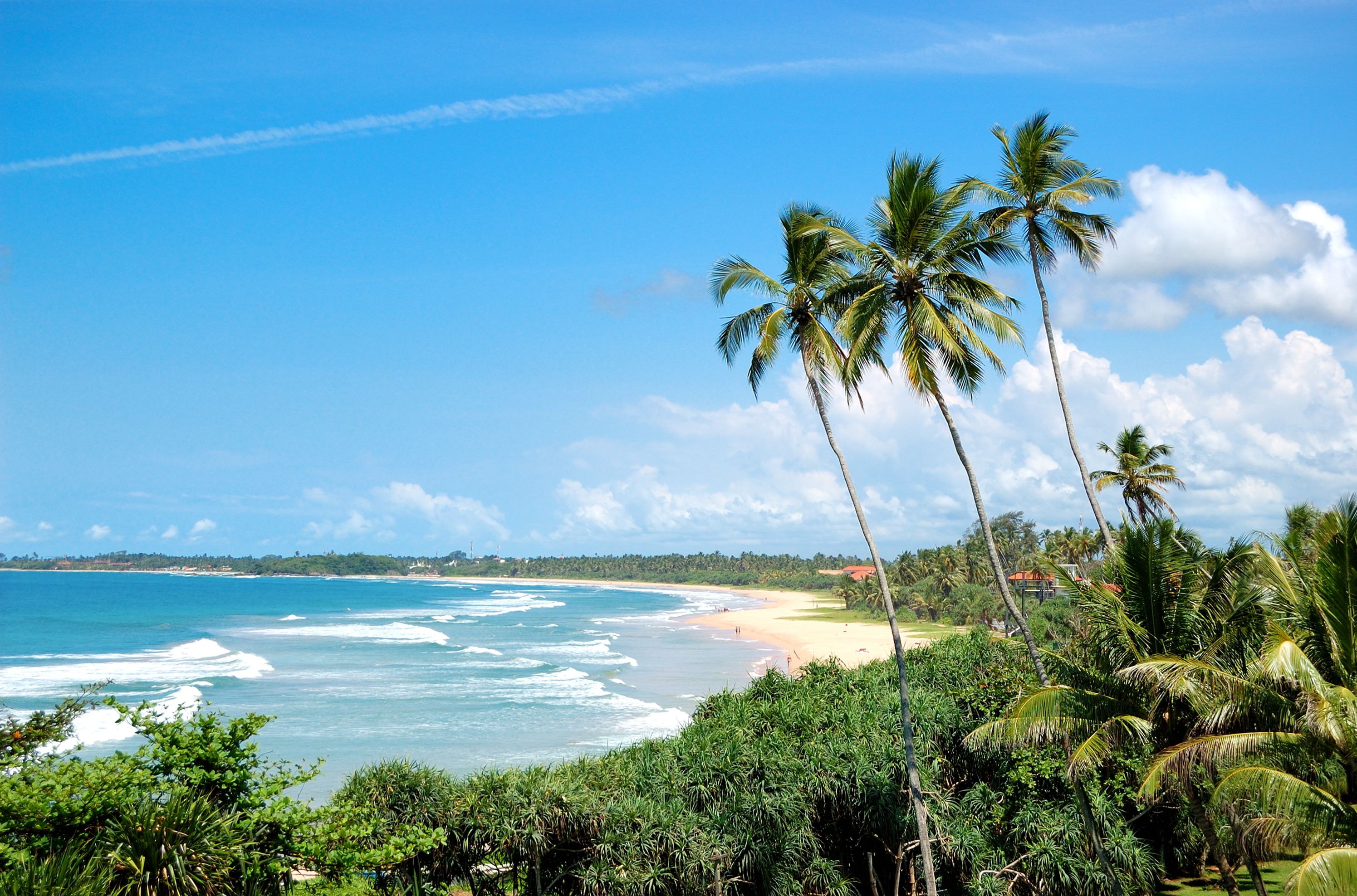 Beach in Bentota, palm trees, tropical greenery, sand, waves, sea