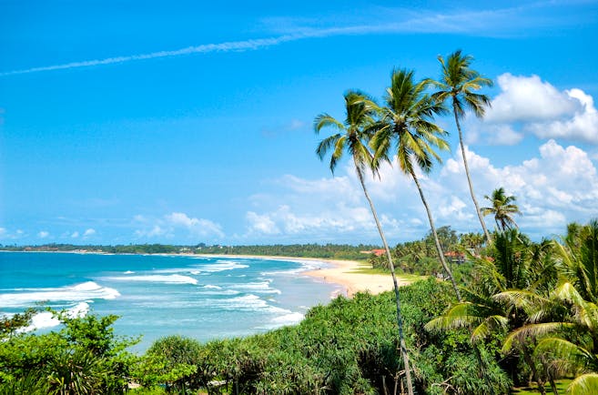 Beach in Bentota, palm trees, tropical greenery, sand, waves, sea