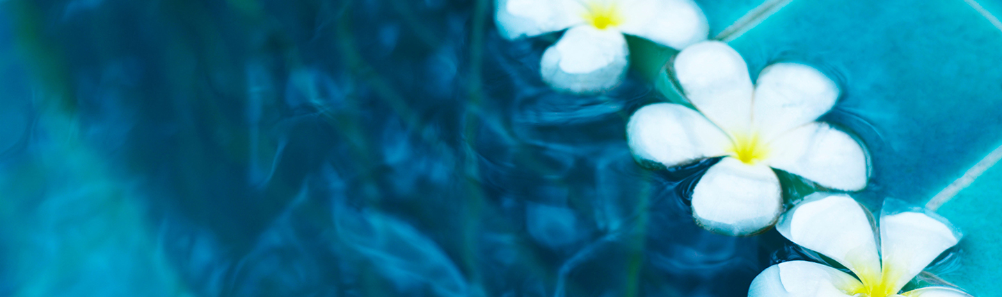 White and level frangipani flowers floating on a turquoise spa pool