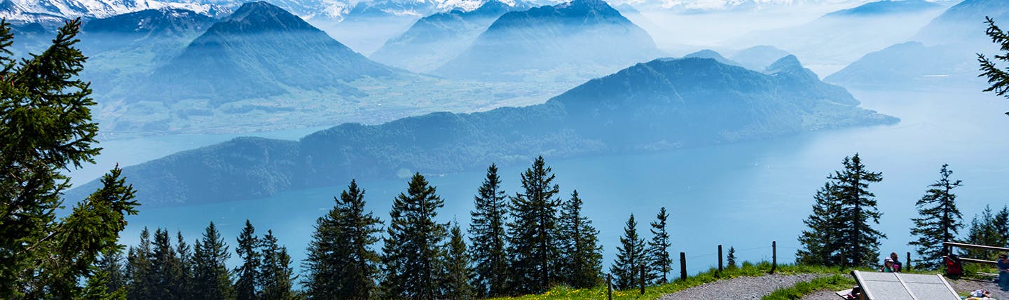Misy view of pine trees from mountainside on Rigi Lake Lucerne