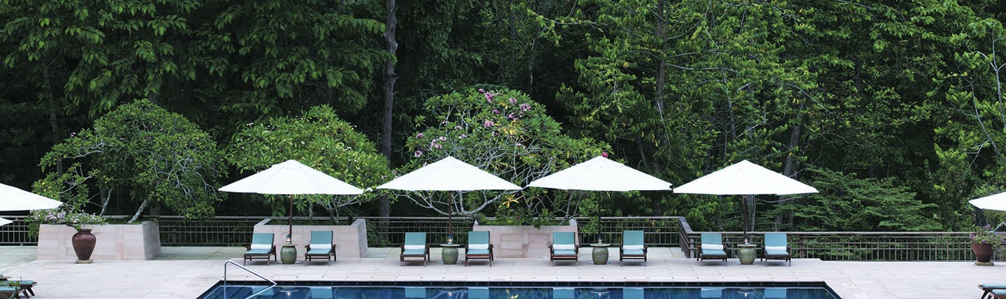 Pool and umbrellas with tropical vegetation