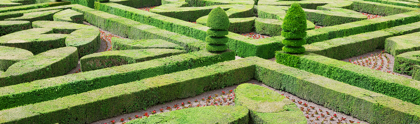 Green angular lines of formal topiary at Villandy castle France